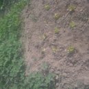 비전농장 이미지