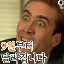 고파 이미지