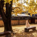 홍성홍주환경노동조합 | 충남 홍성 소도시 여행, 홍주성지와 로컬 한우의 매력