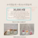 샤인플랜트