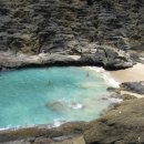 알로하~우쿨렐레 이미지