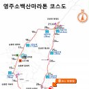 구구스크린골프 이미지