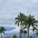 로마스할리데이 | [괌 여행] 1일차 : 괌 공항 택시, 블루렌트카, 토니 로마스, GPO, ROSS