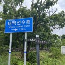 제768차 대구등고선산악회 토요정기산행 // 태백 함백산~검룡소 // 2025년 8월 09일 토요일 // 05시 30분 법원 출발 이미지