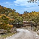 세심자연휴양림 이미지