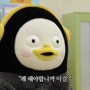 가나메딕스 | [루푸스] 루푸스신염3형, 신장조직검사(콩팥생검) 후기 및 접촉성피부염