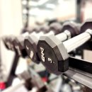 아라핏짐 이미지