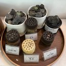 정선 청년몰 | 정선 여행 필수코스, 청년몰 감탄카페 연탄빵 &amp; 오곡라떼 후기