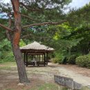 배다리작은도서관 | 배다리마을. 선교유거(仙橋幽居) - 강릉 선교장