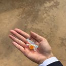 (주)지이엠플레이랜드 | [용인/에버랜드] 키이스케이프X에버랜드 메모리카니발...탈출 3인 플레이 꽃길 추천 후기 (예약 방법...