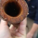 느릅나무집 이미지