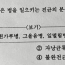 진균(조균류, 담자균류 등등)의 분류별 식물병 종류 아는법 있나요? 어디서 찾을 수 있나요? 이미지