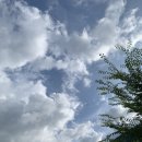 우인 민박 이미지