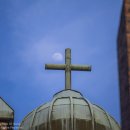 순천 옥천서원 옆 느티나무 | 3월에 만났던 능수벚꽃-순천 임청대,옥천향교 벚꽃