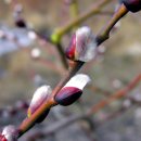 대원아파트 앞 이미지