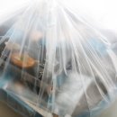 피자알볼로원종점 | 알볼로 신메뉴 나폴리맛피자 나폴리맛스타 찐 후기