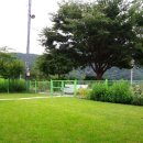 솔향기 가득한 펜션 이미지