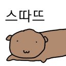 VIP산후조리원 이미지