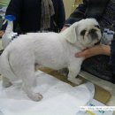 백두 동물병원 이미지