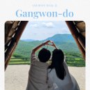금학목장 | 강원도 당일치기 여행 코스 추천｜대관령양떼목장·아르떼뮤지엄·하슬라아트월드