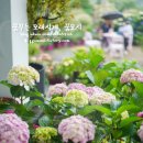 카페수국 - 순천시 하대석길 72 | 카페수국