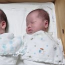 부천소방서119구급대 이미지