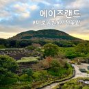 돌미로 | 제주 동쪽 여행 | 메이즈랜드 미로공원 탈출하고 AI 서천꽃밭에서 힐링한 후기