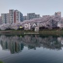 잘나가는 공인중개사사무소 이미지