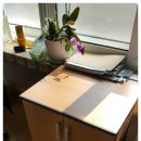 광정초등학교 이미지