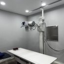 원주마디정형외과의원 이미지