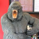 EM환경지도사 | 장내 유해균 줄이고 장건강에 도움되는법 알려드려요