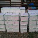 청풍농장 이미지