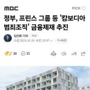 정부, 프린스 그룹 등 '캄보디아 범죄조직' 금융제재 추진 이미지