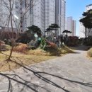 엘리트공인중개사사무소 이미지