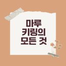 귀여운 마루 인형 키링의 매력은?