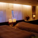 카멜리아 이미지