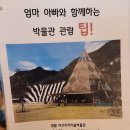 영월아프리카미술박물관&에이미캠핑장 이미지