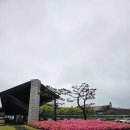 카서비스 | 아시아나컨트리클럽 동코스 라운드후기