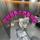 안산점 톡스앤필의원 주베룩 스킨부스터 후기 콜라겐 재생 탄력을 한 번에 해결