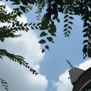 월정축산 이미지