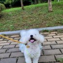 강남다온동물병원 이미지