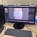 댕댕이 머리하는 날 | [안양 애견동반] 댕댕이랑 인생샷 찍을 수 있는 정원 셀프사진관 안양 범계점