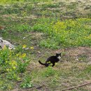 오작교밥상 | [2026' 3월 제주도 1박 2일 여행] 1일차