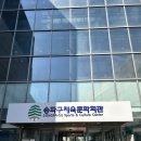 밸리댄스(중급) | 송파구체육문화회관ㅣ서울 송파구 직장인 수영장 자유수영 평일수영 주말수영 가격 시간 후기