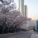 개금1동-9 이미지