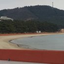 송호보건진료소 네이버블로그