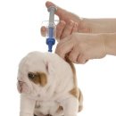 울산동물약국 이미지