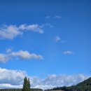 웨스트메도우 | 25.11.23~25.12.06 뉴질랜드/호주 여행 5일차 (마운트쿡 후커밸리 트랙, 와나카 나홀로나무)