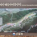 해송모텔 | 4만원대로 떠난 숲속 힐링, 희리산 자연휴양림 옥잠화에서 찾은 진짜 여유