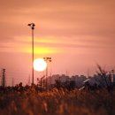 시흥 갯골생태공원 이미지